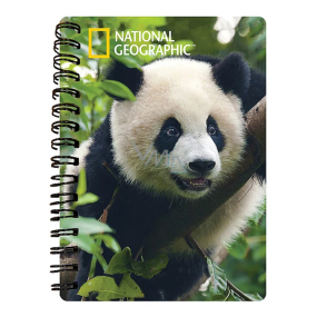 Prime3D Notebook A5 - Panda 14,8 x 21 cm