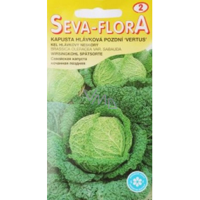 Seva - Flora Spätkopfkohl Vertus 0,8 g