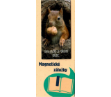 Albi Magnetisches Lesezeichen für das Buch Eichhörnchen mit Nuss 8,7 x 4,4 cm