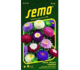Semo Astra Chinese Pompon Mischung 0,5 g