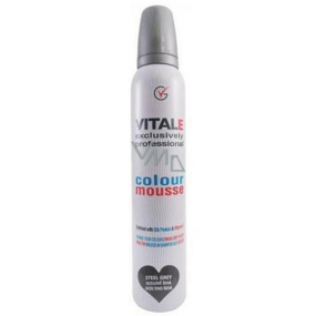 Vitale Exclusively Professional Coloring Mousse Mit Vitamin E Stahlgrau 200 ml