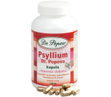 DR. Popov Psyllium Lösliche Ballaststoffe, die ein Sättigungsgefühl hervorrufen, unterstützen den Stoffwechsel der Kapsel 120 Stück 104 g