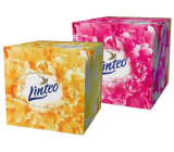 Linteo Premium Papiertaschentücher 3-lagig 60 Stück weiß