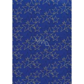 Ditipo Geschenkpapier 70 x 200 cm Weihnachtsblau Gold und schwarze Sterne