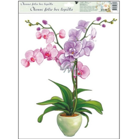 Fensterfolie ohne Orchideenkleber hellrosa 42 x 30 cm