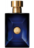 Versace Dylan Blue AS 100 ml Herren-Aftershave