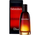 Christian Dior Fahrenheit Eau de Toilette für Männer 50 ml