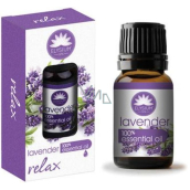 Elysium Spa Lavender 100% ätherisches Öl 10 ml