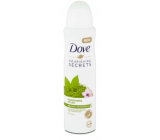Dove Nourishing Secrets Awakening Ritual Matcha Tee & Sakura - Antitranspirant Deodorant Spray mit grünem Tee und Kirschblüte mit 48-Stunden-Wirkung für Frauen 150 ml