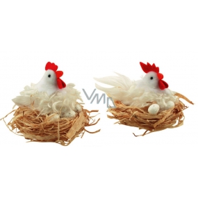 Weiße zottige Henne in einem 12 cm Nest