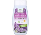 Bione Cosmetics Lavendel & Panthenol, Keratin Regenerierendes Haarshampoo 250 ml