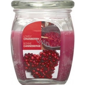 Bolsius Aromatic Lovely Cranberry - Schöne Cranberry-Duftkerze in Glas 92 x 120 mm 830 g, Brenndauer 100 Stunden