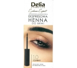 Delia Cosmetics Instant Eyebrown Tint Augenbrauenfarbe 1.0 schwarz 6 ml