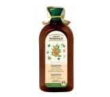 Green Pharmacy Linden Flowers and Sanddorn Oil Shampoo für trockenes und strapaziertes Haar 350 ml