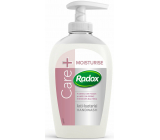 Radox Care & Moisture feuchtigkeitsspendender antibakterieller Flüssigseifenspender 250 ml