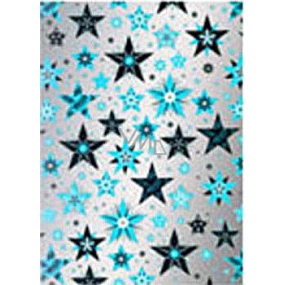 Ditipo Geschenkpapier 70 x 500 cm Weihnachtssilber Blaue und schwarze Sterne2033913