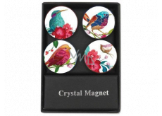 Albi Kristall Magnete Vögel 4 Stück