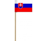 Bogen Papierfahne der Slowakischen Republik auf einem Stock 42 cm 1 Stück