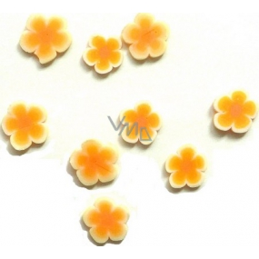 Professionelle Nageldekorationen Blumen orange-weiß 132 1 Packung