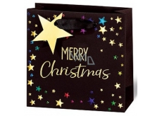 BSB Luxus Geschenk Papiertüte 14,5 x 15 x 6 cm Weihnachten Frohe Weihnachten VDT 433-CD