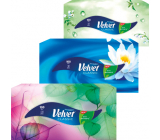 Velvet Classic Hygienetaschentücher 2 Lagen 100 Stück im Karton