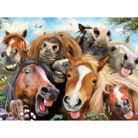 Prime3D Poster Pferde - Selfie 39,5 x 29,5 cm