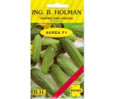 Holman F1 Aurea-Gurken 2,5 g