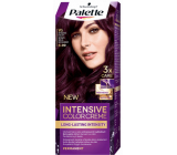 Schwarzkopf Palette Intensive Color Creme Haarfarbe 6-99 Intensives Lila V5