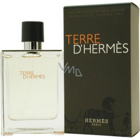 Hermes Terre D Hermes Eau de Toilette für Männer 100 ml