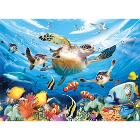 Prime3D Poster Wasserschildkröte - der Weg einer Meeresschildkröte 39,5 x 29,5 cm