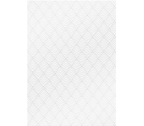 Ditipo Dárkový balicí papír 70 x 100 cm Trendy Colours bílý 2 archy