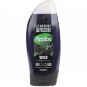 Radox Men Feel Wild Blackberry & Ginger 2in1 Duschgel und Shampoo für Männer 250 ml