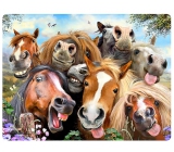 Prime3D Postkarte - Horses Selfie 16 x 12 cm