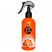 Nur 4 Hunde Orange Infusion Spülfreies Shampoo für Hunde 300 ml