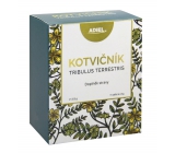 Adiel Kotvičník Tee beeinflusst die Genitalien und die hormonelle Aktivität von 15 Beuteln