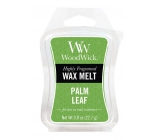 WoodWick Palmblatt - Palmblatt duftendes Wachs für Aromalampe 22,7 g