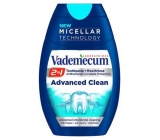 Vademecum 2in1 Advanced Clean Zahnpasta 75 ml