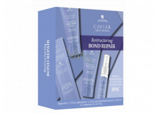 Alterna Caviar Restructuring Bond Repair Regenerierendes Shampoo für geschädigtes Haar 40 ml + Spülung 40 ml + Leave-in Hitzeschutzspray 25 ml + 3-in-1-Versiegelungsserum 7 ml Testset-Set