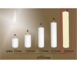 Lima Gastro glatte Kerze Elfenbein Zylinder 50 x 300 mm 1 Stück