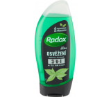 Radox Men Strong Mint & Teebaum 2 in 1 Duschgel und Shampoo für Männer 250 ml